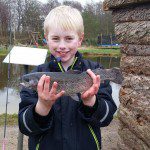 mattias1
